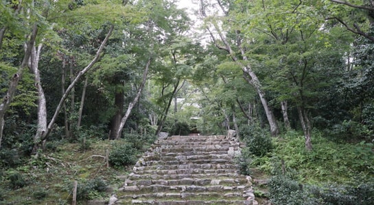 file1189(1).jpg