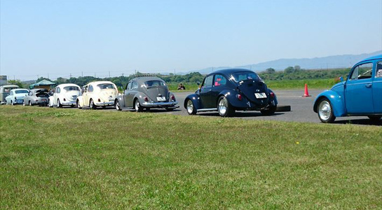 bugsupkasaoka_(1).jpg