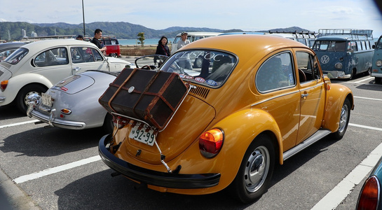 orangbugimg_1044.jpg