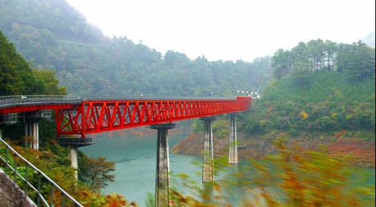 ap004.jpg