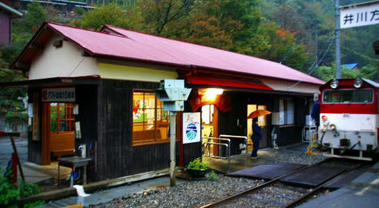 ap013.jpg