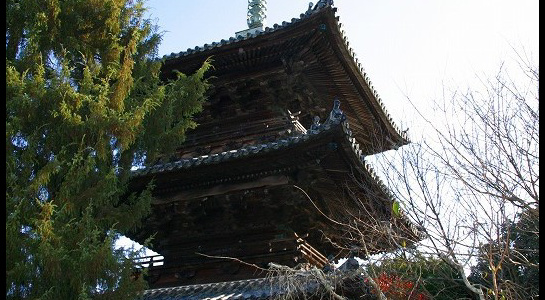 img_6399.jpg