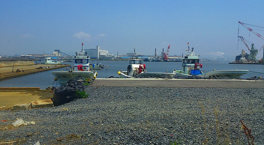 dsc_0653.jpg